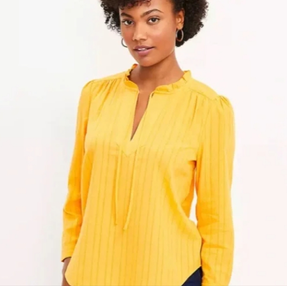 LOFT Women's Golden Orange Textured V-Neck Cotton Top